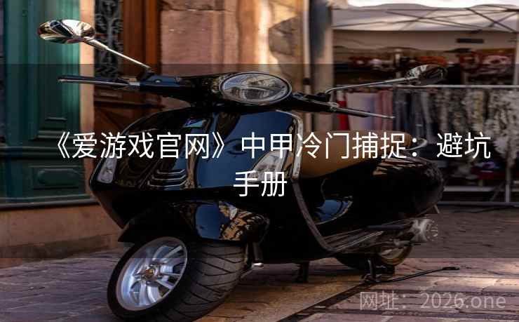《爱游戏官网》中甲冷门捕捉：避坑手册
