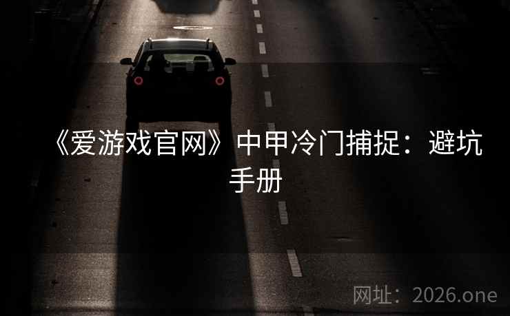 《爱游戏官网》中甲冷门捕捉：避坑手册