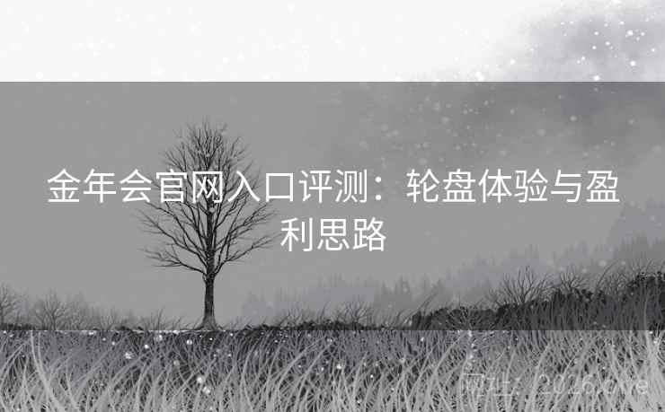 金年会官网入口评测：轮盘体验与盈利思路