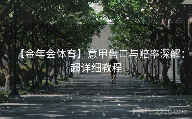 【金年会体育】意甲盘口与赔率深解：超详细教程