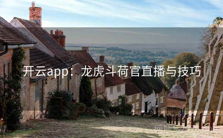 开云app:龙虎斗荷官直播与技巧