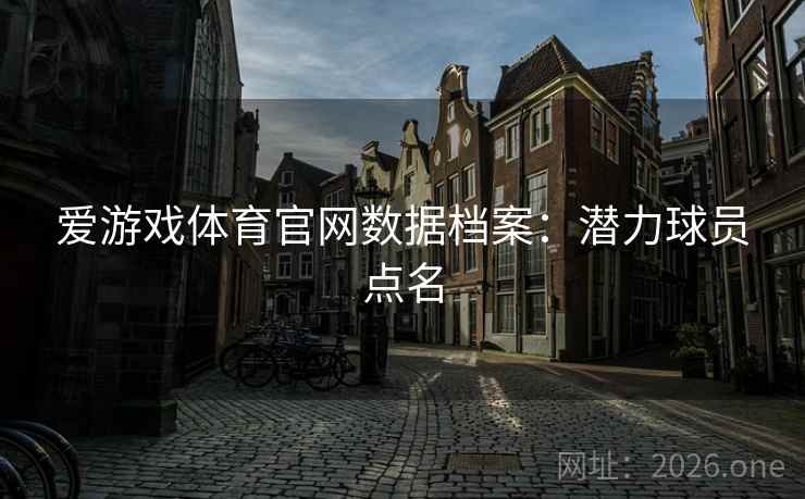 爱游戏体育官网数据档案：潜力球员点名