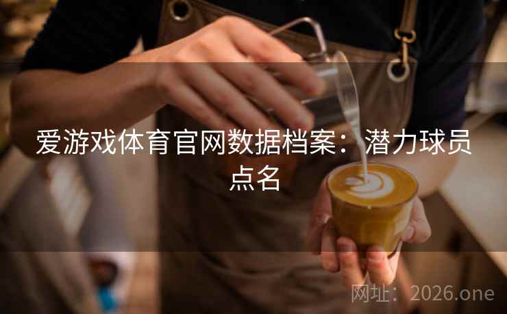 爱游戏体育官网数据档案：潜力球员点名