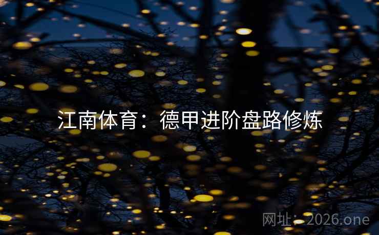 江南体育：德甲进阶盘路修炼