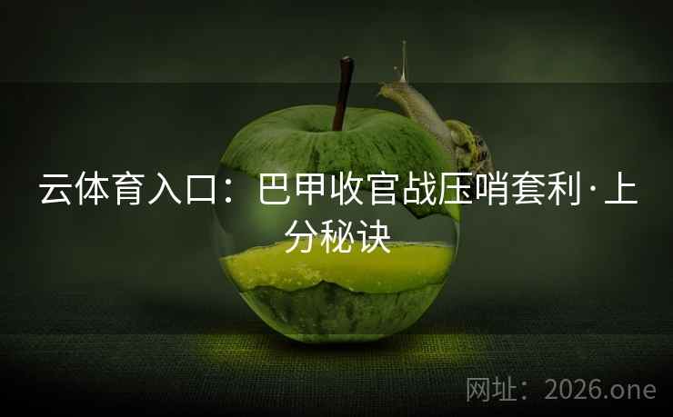 云体育入口：巴甲收官战压哨套利·上分秘诀