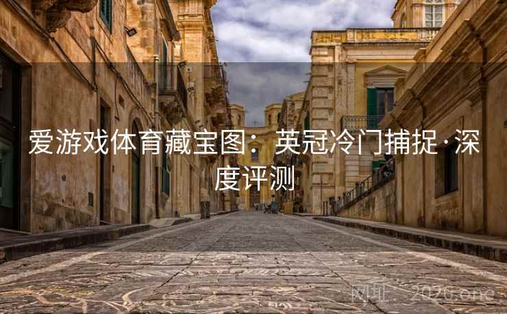 爱游戏体育藏宝图：英冠冷门捕捉·深度评测
