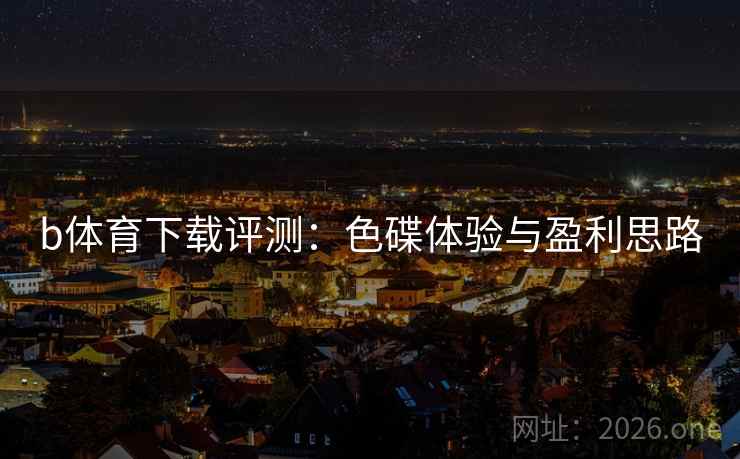 b体育下载评测：色碟体验与盈利思路