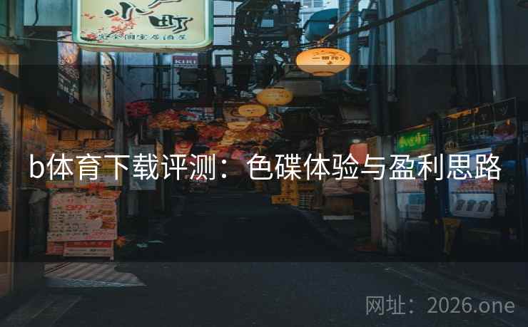 b体育下载评测：色碟体验与盈利思路