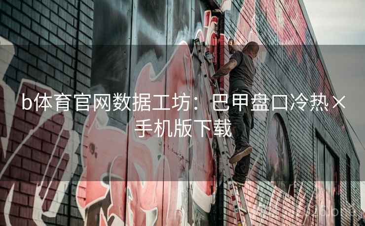 b体育官网数据工坊：巴甲盘口冷热×手机版下载