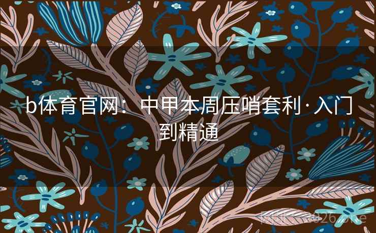 b体育官网：中甲本周压哨套利·入门到精通