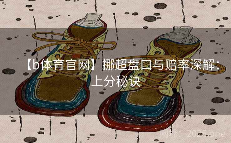 【b体育官网】挪超盘口与赔率深解：上分秘诀