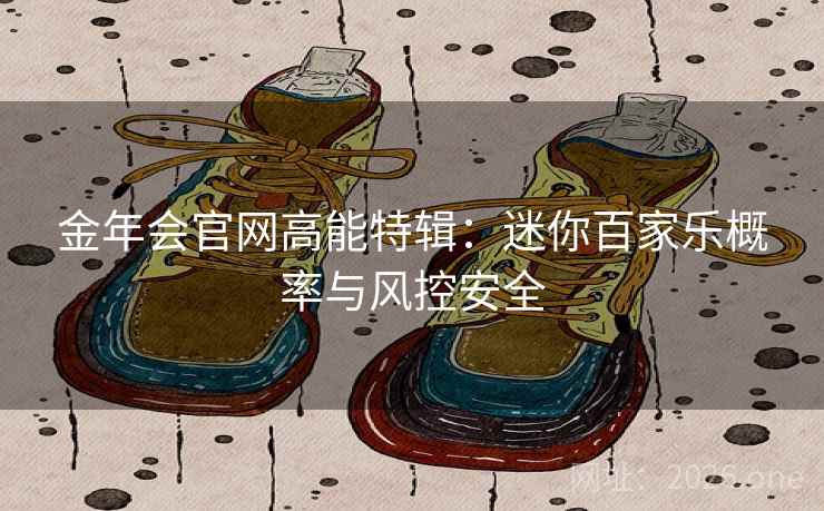 金年会官网高能特辑：迷你百家乐概率与风控安全