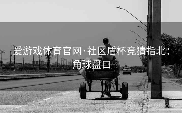 爱游戏体育官网·社区盾杯竞猜指北：角球盘口