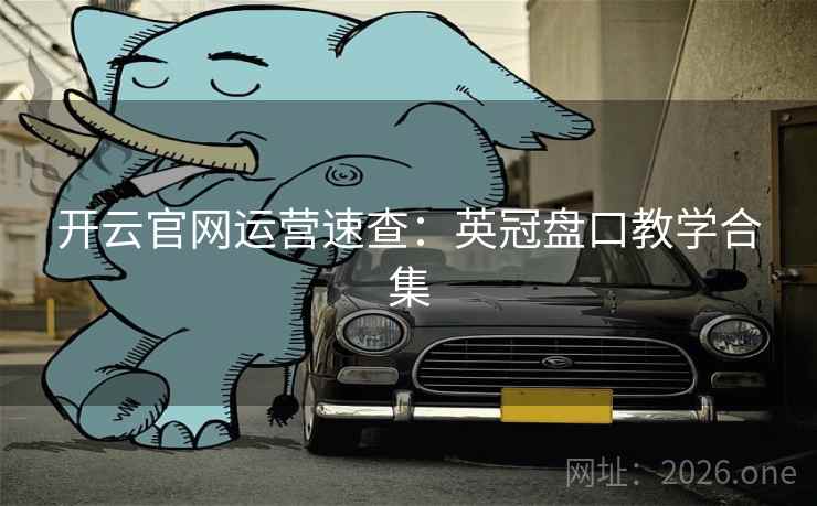 开云官网运营速查：英冠盘口教学合集