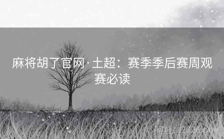 麻将胡了官网·土超:赛季季后赛周观赛必读 麻将胡了官网·土超:赛季季后赛周观赛必读